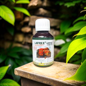 Latrex 400 EC 100 ml Obat Anti Rayap