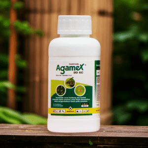 agamex 2.