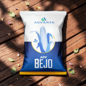 jagung adv hibrida bejo 1 kg