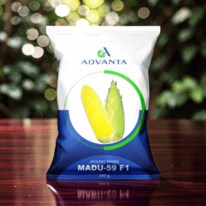jagung manis 500 gram