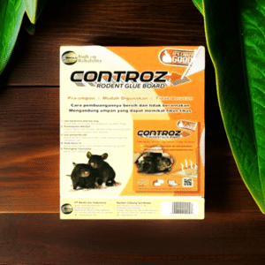 controz lem tikus