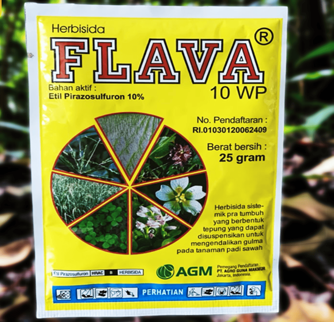 flava 25 gram herbisida flava 25 gram herbisida