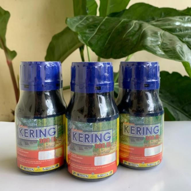 kering 3 kering 3
