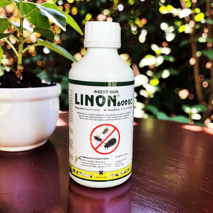 linon 600 ec