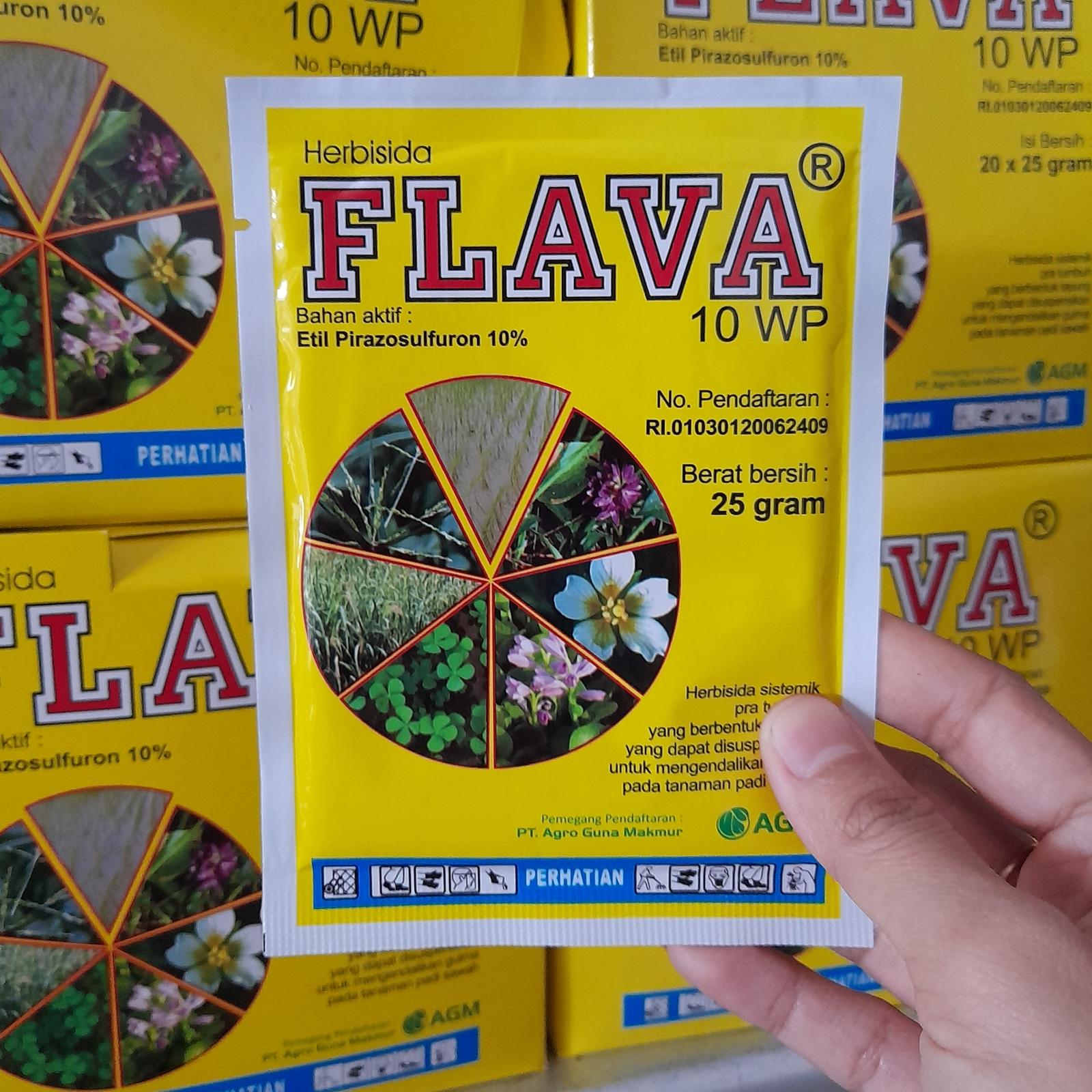 flava 2 flava 2