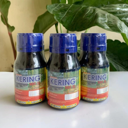 shopee.co.id herbisida kontak obat pembasmi rumput kering 250 ml i.288577109.8774244352 sp atk=b7d72139 84f4 45a5 9419 adabcf3c033a&xptdk=b7d72139 84f4 45a5 9419 adabcf3c033a (2) shopee.co.id herbisida kontak obat pembasmi rumput kering 250 ml i.288577109.8774244352 sp atk=b7d72139 84f4 45a5 9419 adabcf3c033a&xptdk=b7d72139 84f4 45a5 9419 adabcf3c033a (2)