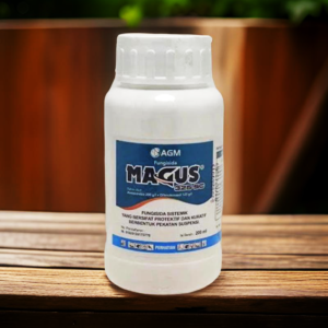 magus