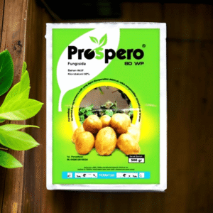 prospero