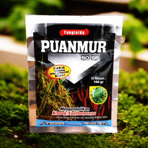 puanmur 100 gram