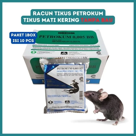 petrokum tikus 8 petrokum tikus 8