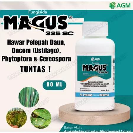 magus 2 magus 2
